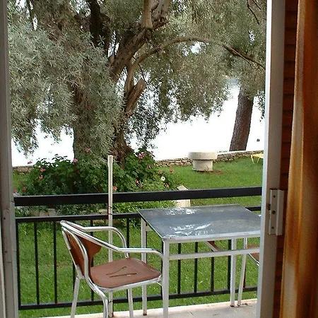 Vaya 2*